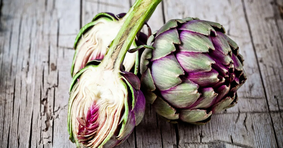 Japanilainen stressiä torjuva mukula: se juurtuu syksyllä ja tuottaa runsaan sadon ilman kasvihuonetta tai kastelua.