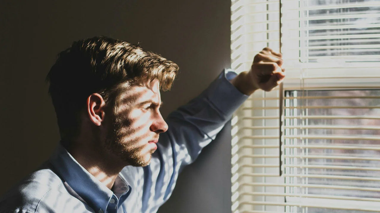 Hämmästyttävä persoonallisuustesti: valitse yksi puu kuvasta ja saat selville, millainen ihminen olet oikeasti.