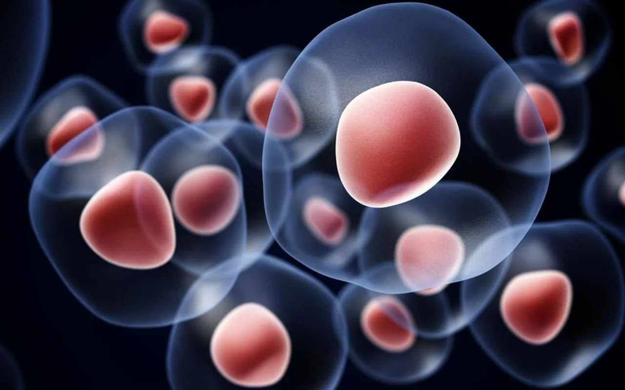 Biologian dogma on murtunut: todellinen kontrolli kantasoluista löytyi yllättävästä paikasta.