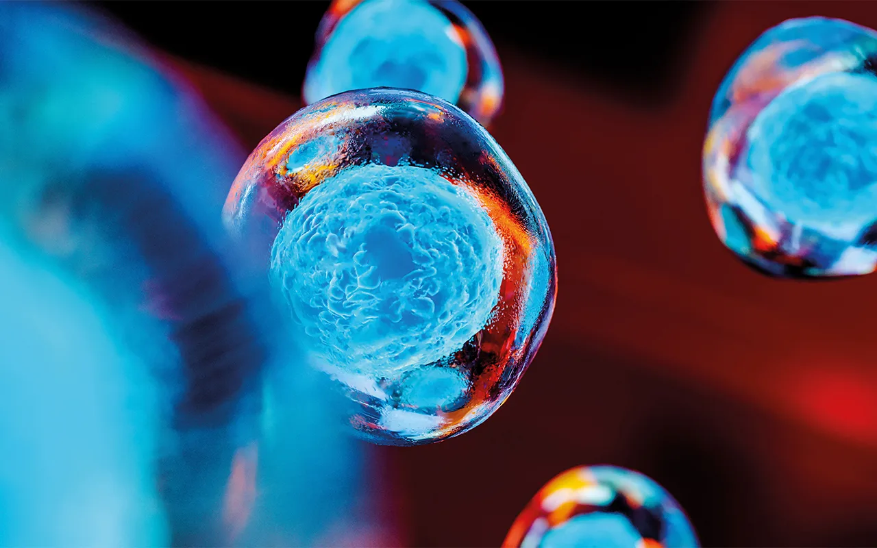 Biologian dogma on murtunut: todellinen kontrolli kantasoluista löytyi yllättävästä paikasta.