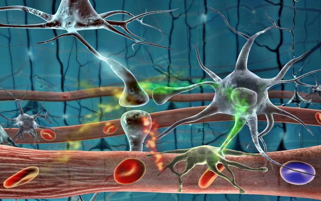 Biologian dogma on murtunut: todellinen kontrolli kantasoluista löytyi yllättävästä paikasta.