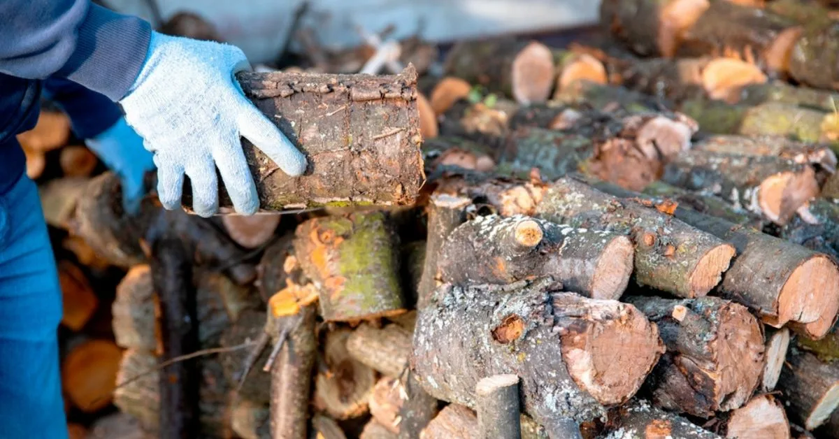 Puut vastaan pelletit: kuka voittaa taistelun puulämmityksestä?