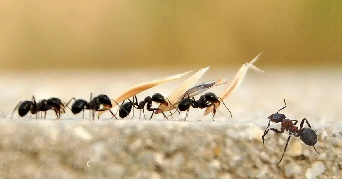 Tutkijat eivät voi uskoa: 8-vuotiaan lapsen löytö muutti tieteen ikuisesti.