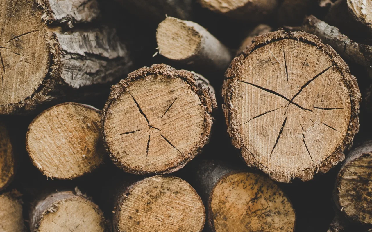 Onko polttopuut varastoitu oikein? Parhaat vinkit ihanteellisen puuvaraston rakentamiseen ja valintaan.