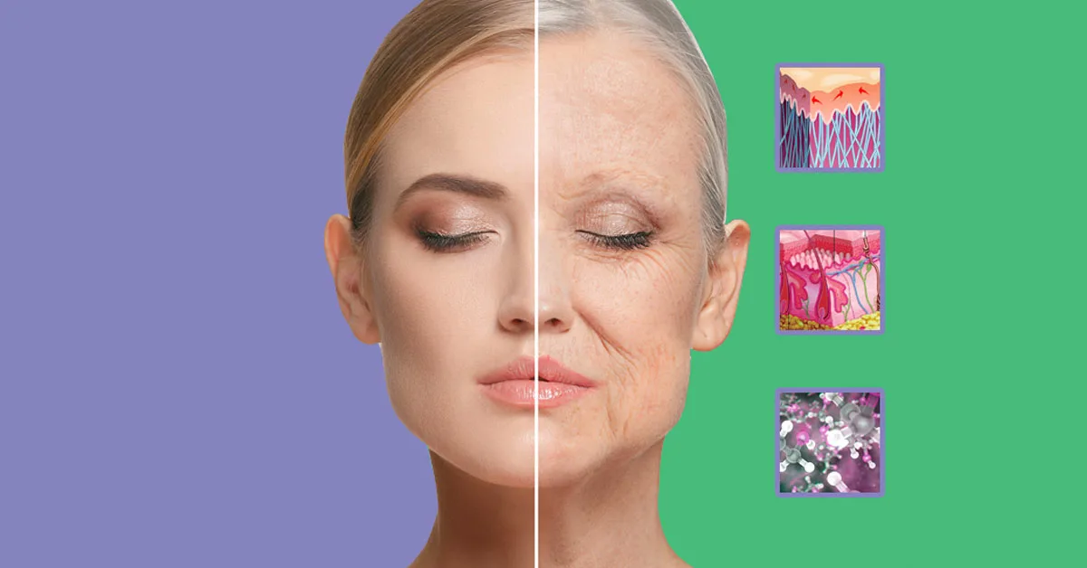 Tutkijat ovat löytäneet käännekohdan, jossa kehon ikääntyminen kiihtyy