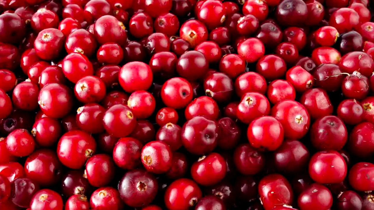 Se on ainoa hedelmä, joka estää muistamattomuutta ja suojaa sydäntä: se on halpa, sitä löytyy joka puolelta, ja se on todellinen aarre.