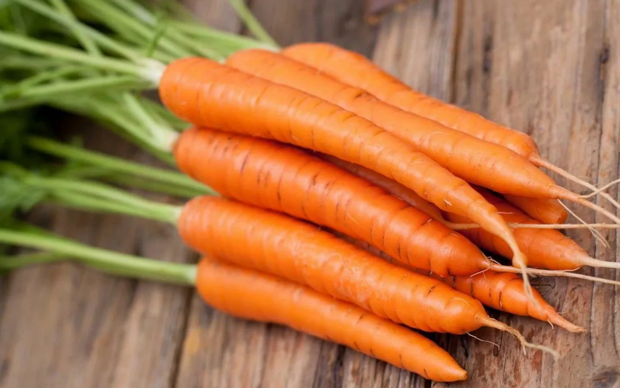 Älä anna porkkanan pehmetä liian nopeasti: 4 helppoa vinkkiä, joilla pidät sen tuoreena pidempään