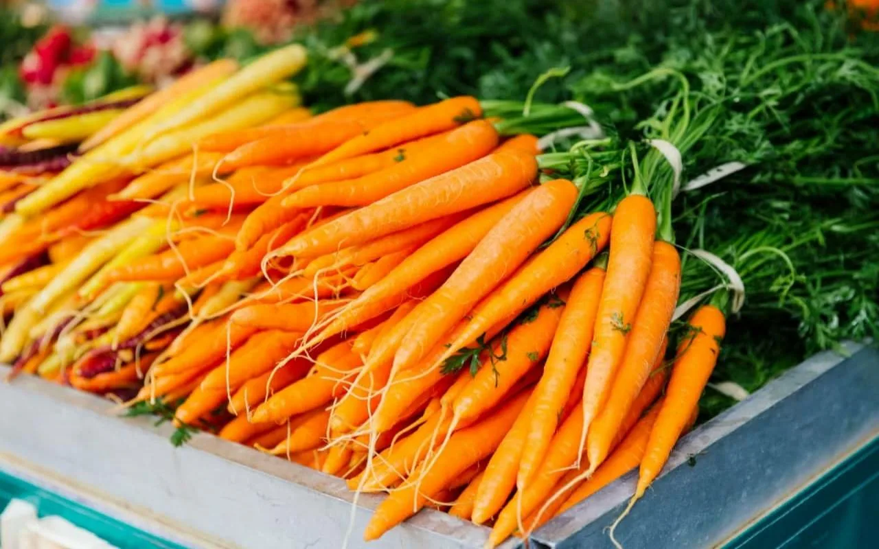 Älä anna porkkanan pehmetä liian nopeasti: 4 helppoa vinkkiä, joilla pidät sen tuoreena pidempään