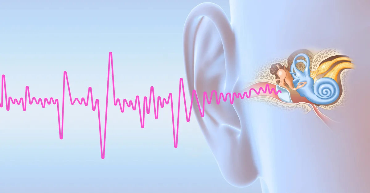 Tinnitus on jollain tavalla yhteydessä kehon tärkeään toimintaan