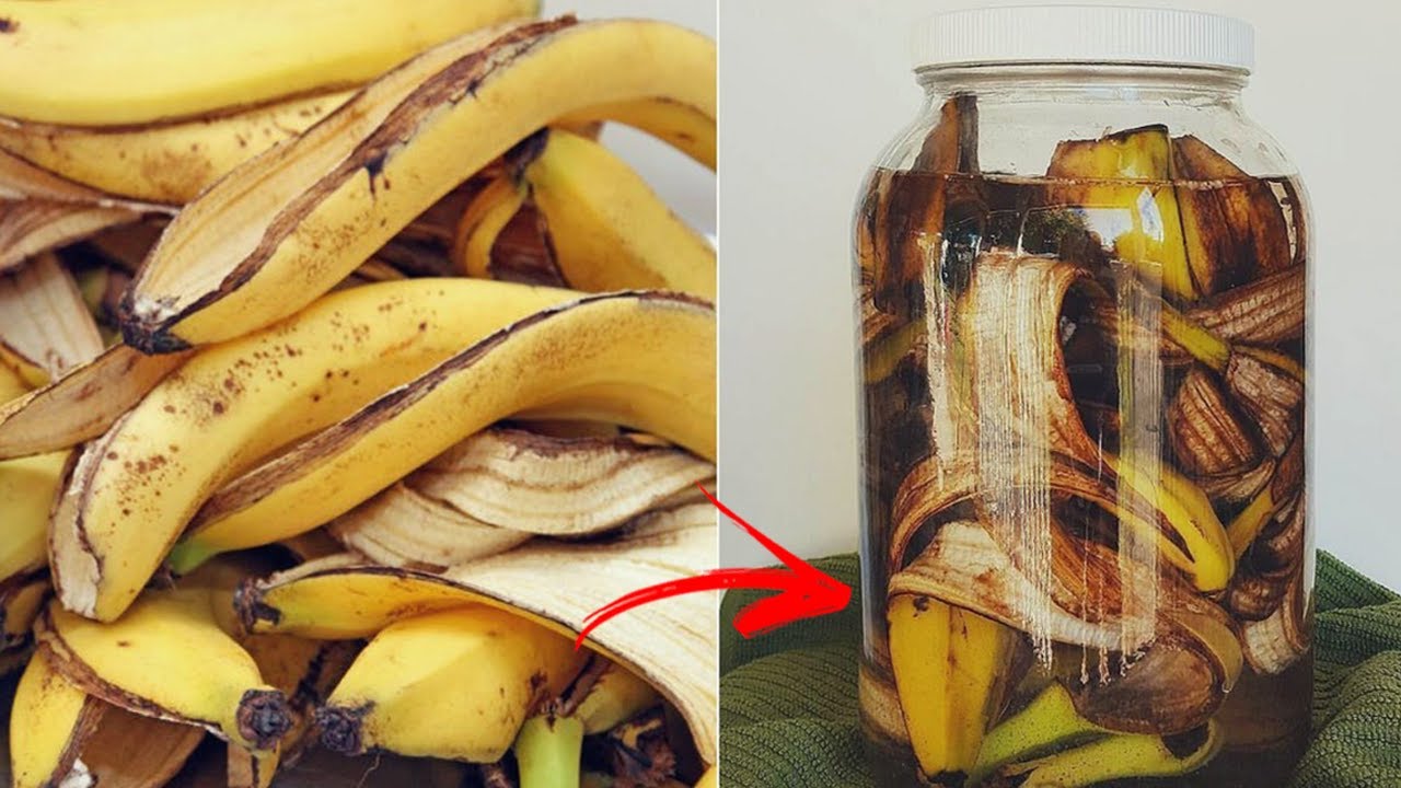 Banaaninkuoren sekoittaminen veteen: miksi se on suositeltavaa ja mitä hyötyä siitä on