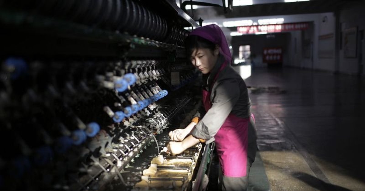 Tässä maassa palkat ovat alhaiset ja työn tuottavuus korkea: nuoret poistuvat työmarkkinoilta.