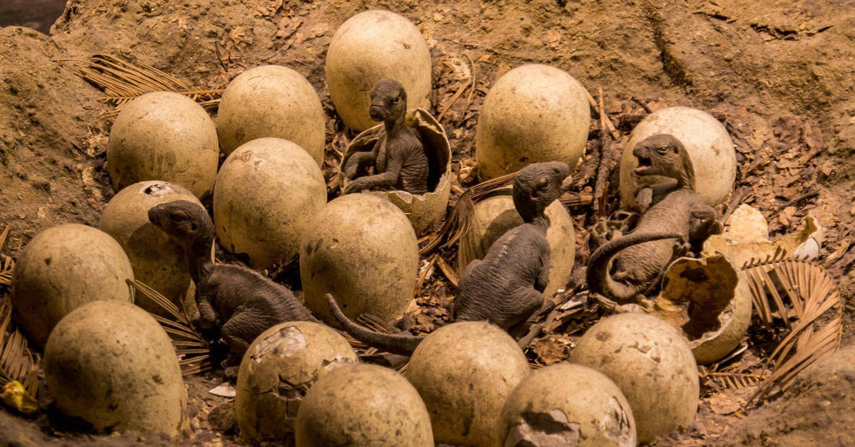 Arkeologit eivät voi uskoa: Suomesta löydetty 72 miljoonaa vuotta vanhoja dinosaurusten munia