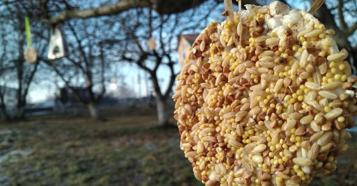 Ihanteellinen sekoitus lintujen houkuttelemiseen ja puutarhan koristeluun.