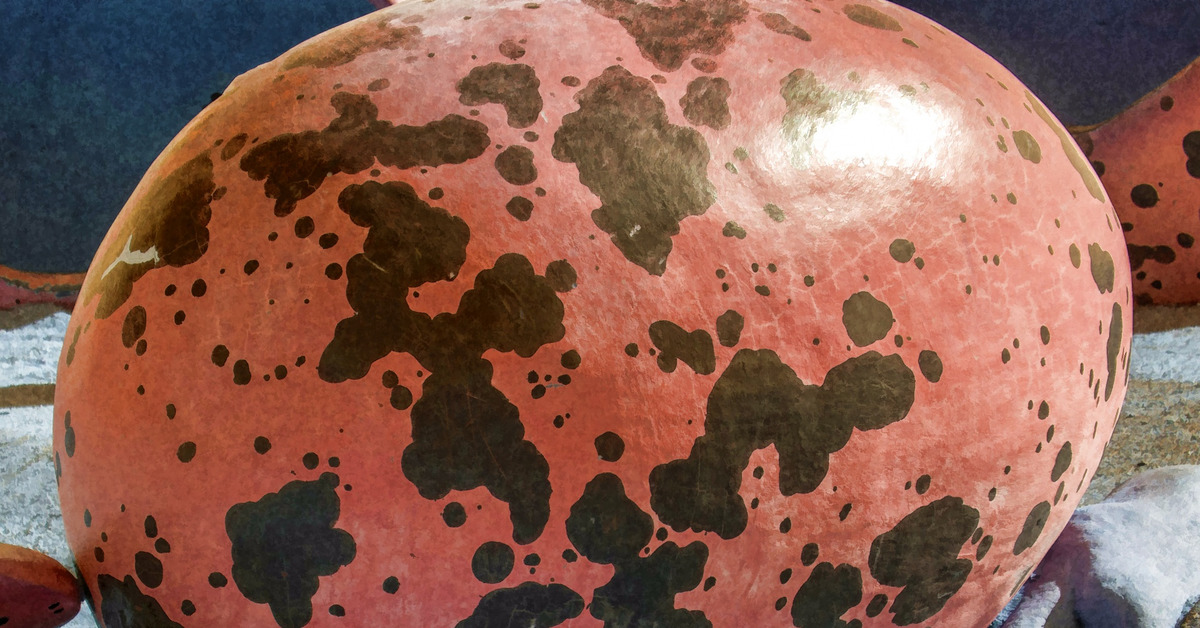 Arkeologit eivät voi uskoa: Suomesta löydetty 72 miljoonaa vuotta vanhoja dinosaurusten munia