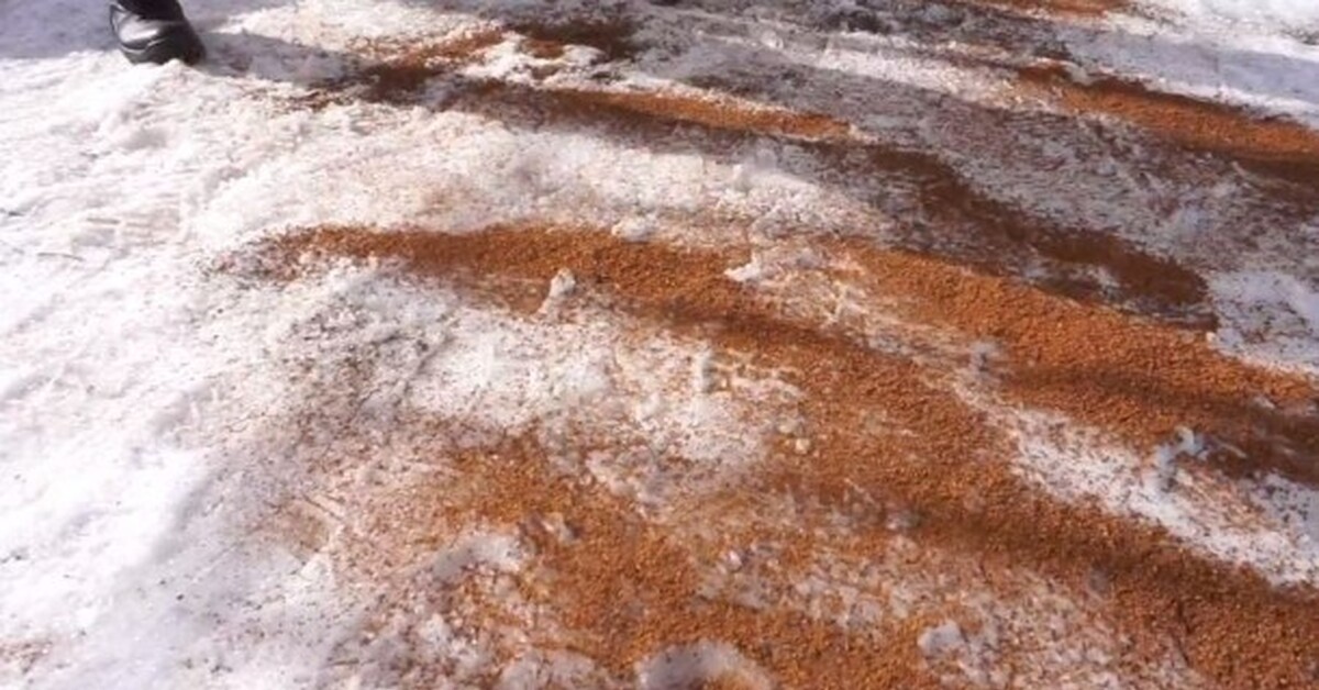 Tästä syystä talvella on suositeltavaa ripotella kahvijauhetta ajotielle.