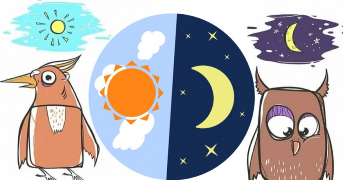 Yökyöpelit vastaan aamuvirkut: kuka työskentelee paremmin tieteen mukaan