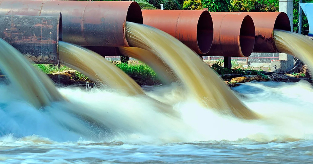 Paristojen suosio on huipussaan: kaivosteollisuuden jätteet muuttavat elämää Tyynenmeren syvyyksissä.