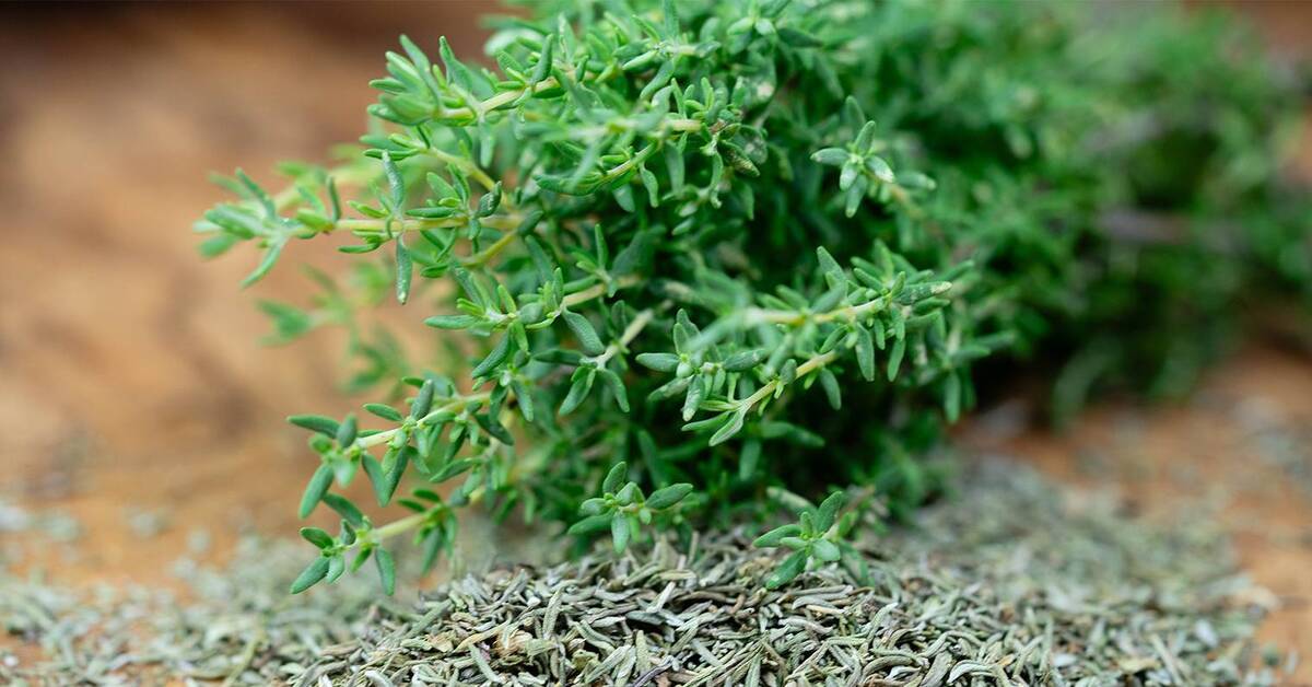 Timjami ja appelsiininkuori: miksi niitä suositellaan ja mihin ne ovat hyödyllisiä