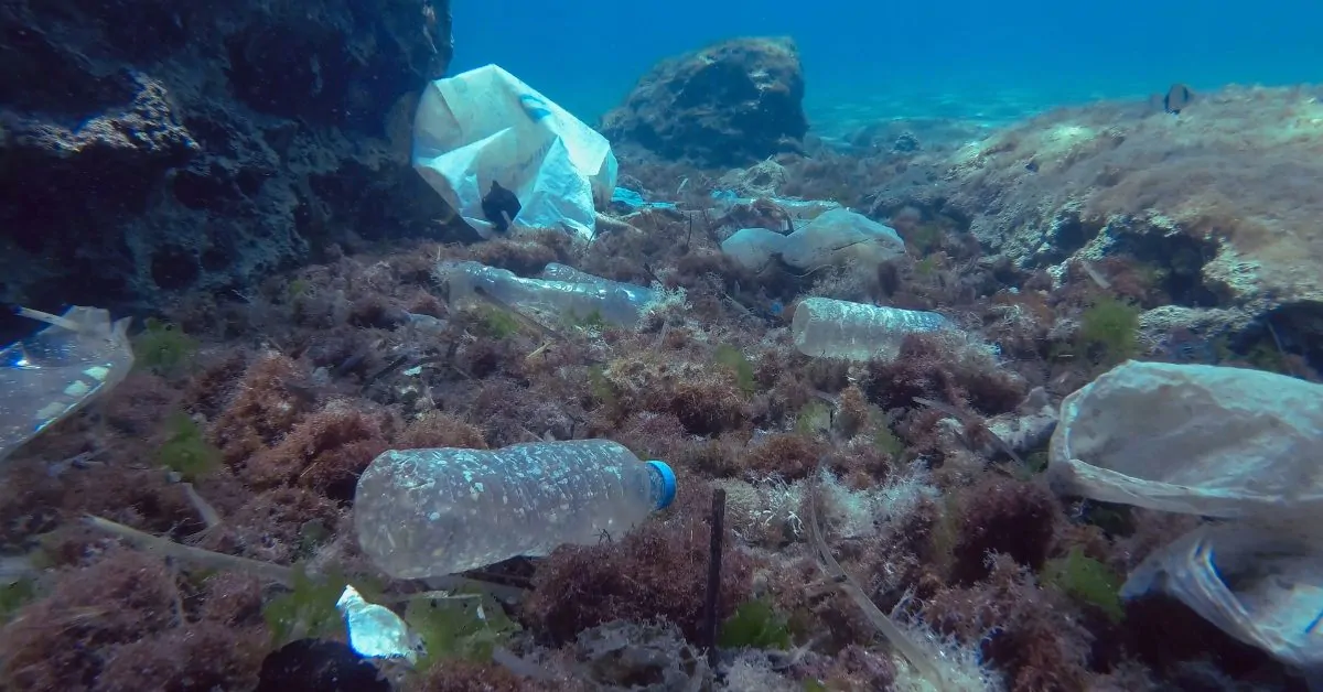 Tutkijat ovat löytäneet meressä eläviä mikrobeja, jotka syövät muovia