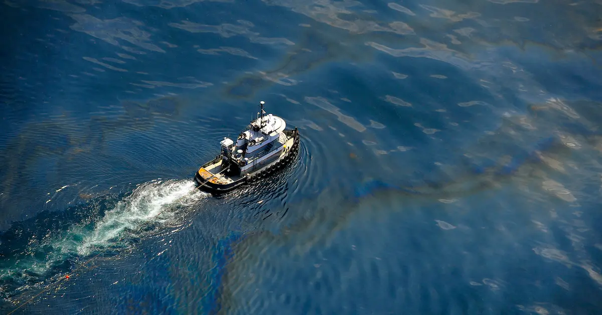 Paristojen suosio on huipussaan: kaivosteollisuuden jätteet muuttavat elämää Tyynenmeren syvyyksissä.