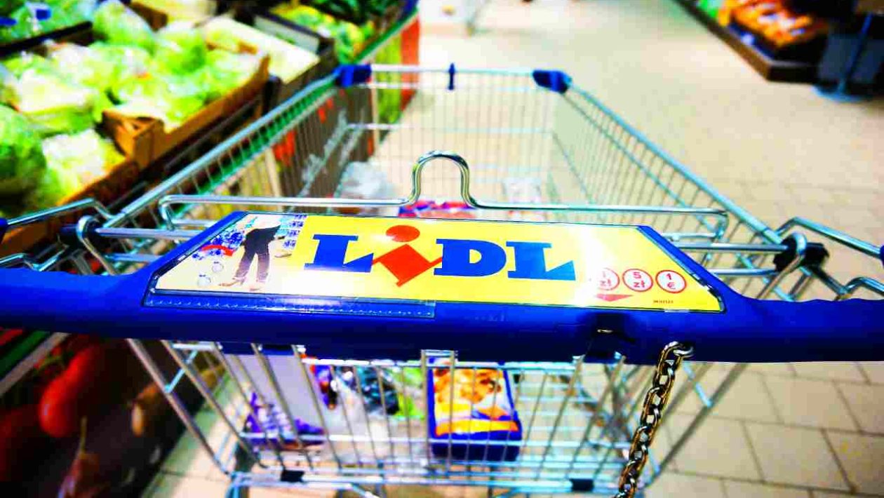 Lidl