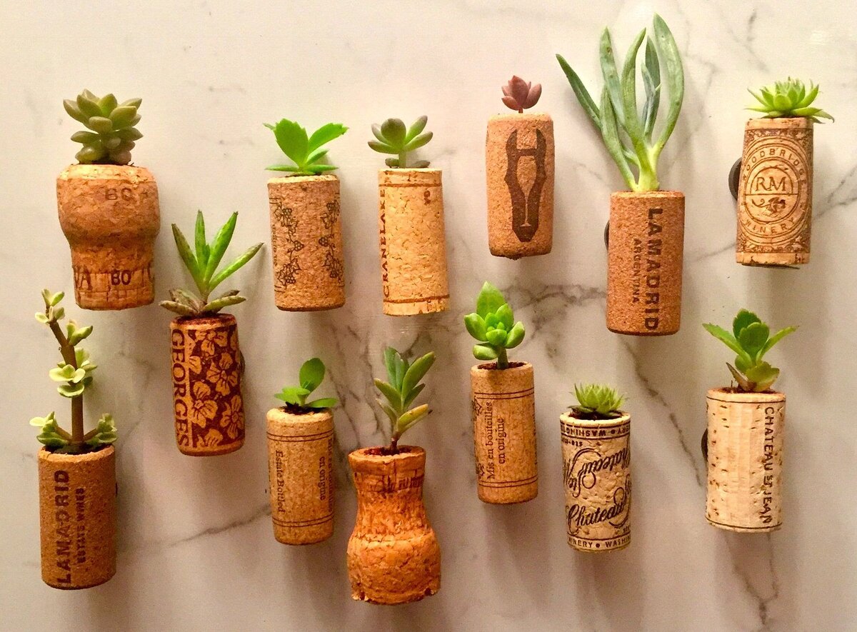 Kukkaruukkujen sulkeminen tulpilla: miksi se on tarpeen ja mitkä ovat sen edut