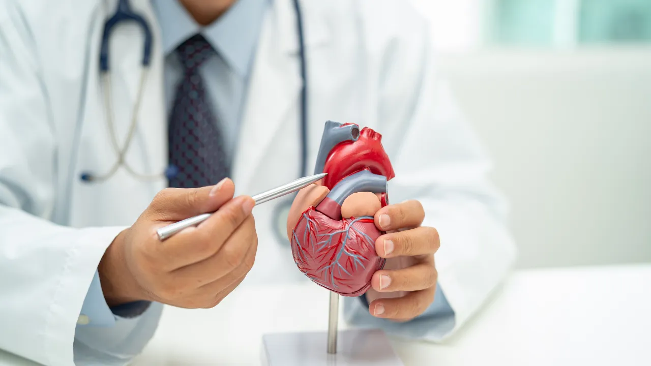 Sydämen tukos: 7 kardiologien suosittelemaa vinkkiä verisuonten puhtauden ja sujuvamman verenkierron ylläpitämiseksi