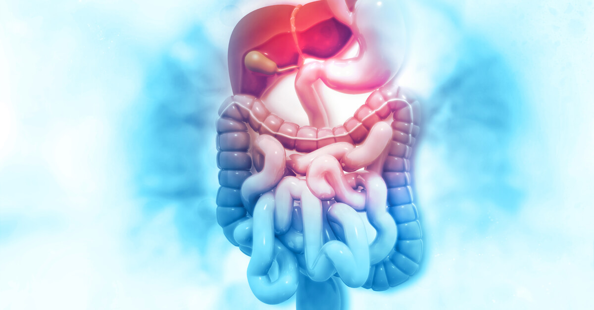 Uusi lähestymistapa probiootteihin: kantojen tuntemus auttaa optimoimaan suolisto-aivo-akselia