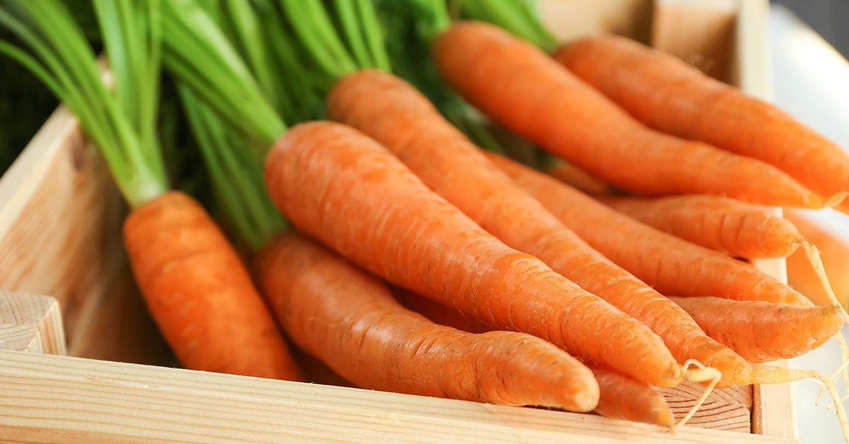 Porkkanat kuivuvat ja mustuvat. Tämä on yleisin virhe.