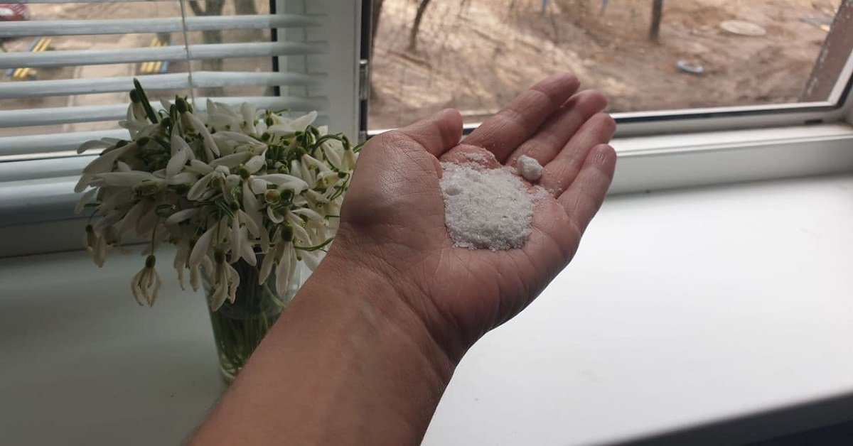 Siksi yhä useammat ihmiset ovat alkaneet laittaa ikkunalaudoille suolakulhoja.