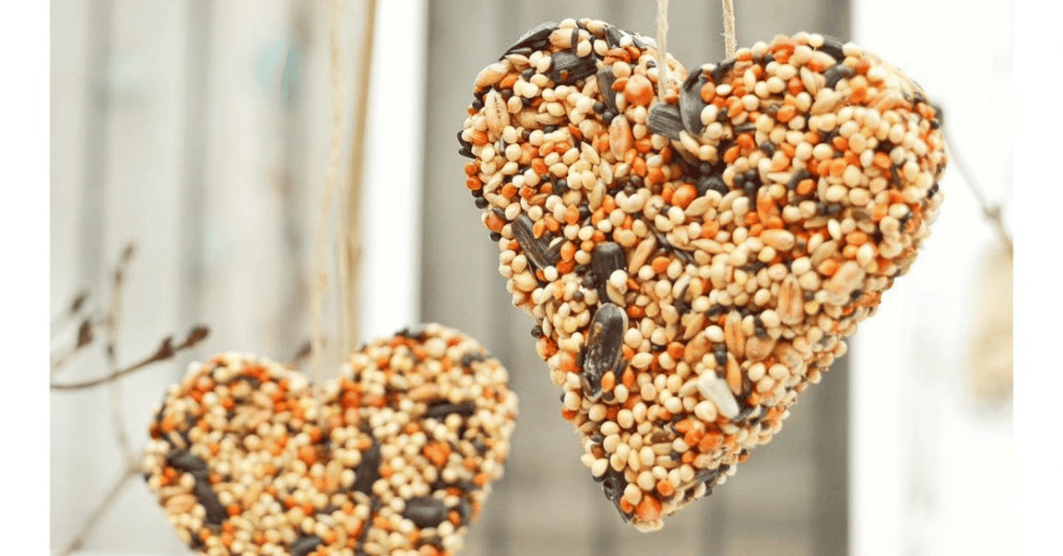 Ihanteellinen sekoitus lintujen houkuttelemiseen ja puutarhan koristeluun.