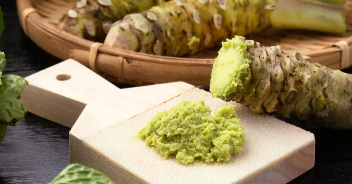 Harvat tietävät, mihin sitä tarvitaan, miten se tehdään ja miksi on tärkeää kasvattaa wasabia kotona.