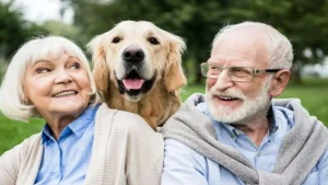 Suomalaisen tutkimuksen mukaan koiran omistaminen voi vähentää dementian riskiä 40 %.