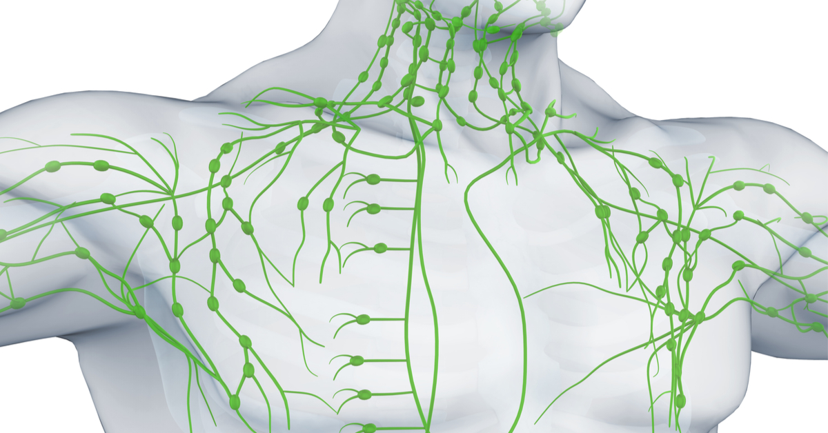 Salva Ferrer: ”Vaikeinta oli kertoa äidille”