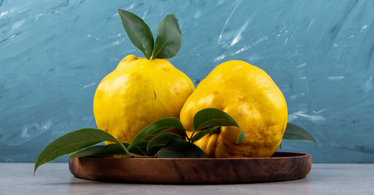 Kuinka valmistaa täydellinen kvittenlikööri? Mihin nämä hedelmät sopivat parhaiten?