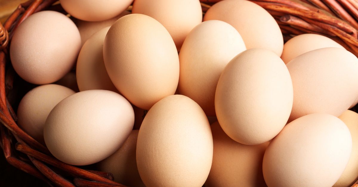 Punainen täplä munassa. Harvat tietävät, mitä se tarkoittaa ja onko tällaisen munan syöminen turvallista.