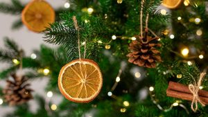 Joulu 2025: Miksi joulukuusessa roikkuu kanelitanko? Tutustu sen merkitykseen.