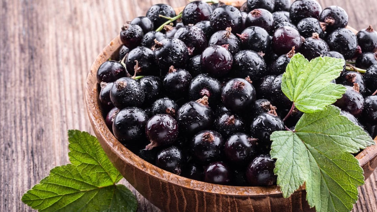 Tämä hieman karvas hedelmä valitaan vuoden 2026 makuksi. Maassa sitä aliarvioidaan, vaikka sitä tuotetaan suuria määriä.