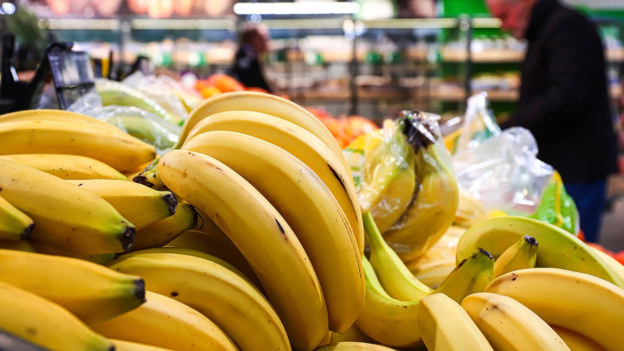 Kanariansaarten banaanien hinta jatkaa laskuaan: tällä viikolla myydyt tuotteet tuovat viljelijöille vain tappiota.
