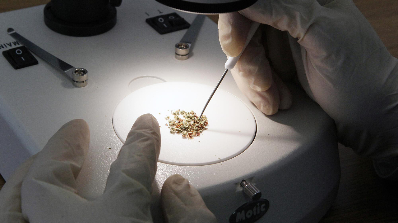 Kuinka molekyylikello toimii perhosentoukkien avulla, jotka lupaavat mullistaa rikosteknologian