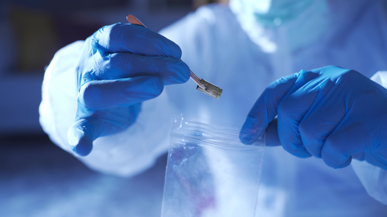 Kuinka molekyylikello toimii perhosentoukkien avulla, jotka lupaavat mullistaa rikosteknologian