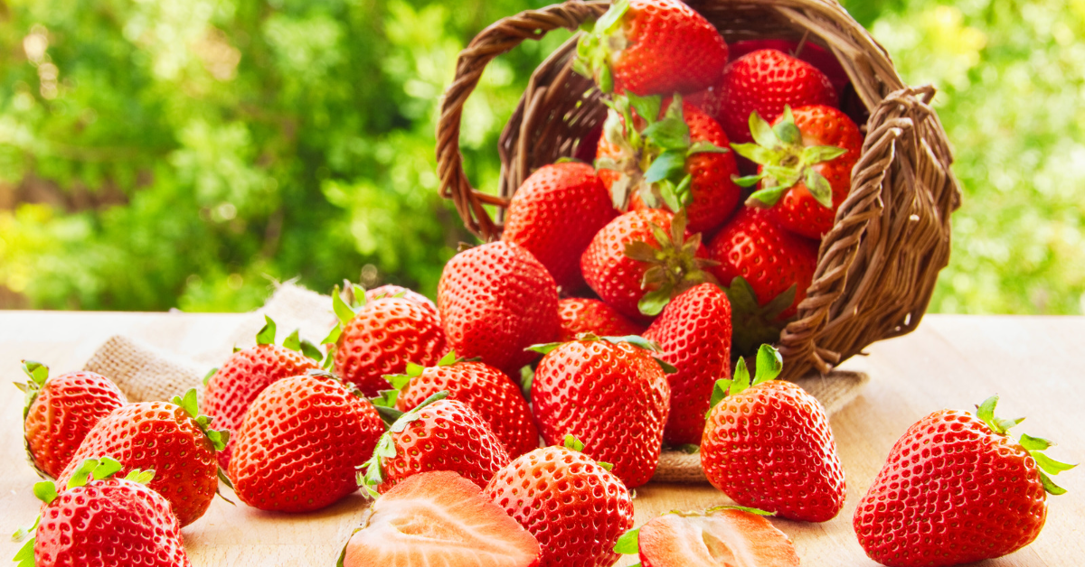 Tutkijat ovat huolissaan. Ne tuhoavat suolistomme, mutta me syömme niitä silti runsaasti.