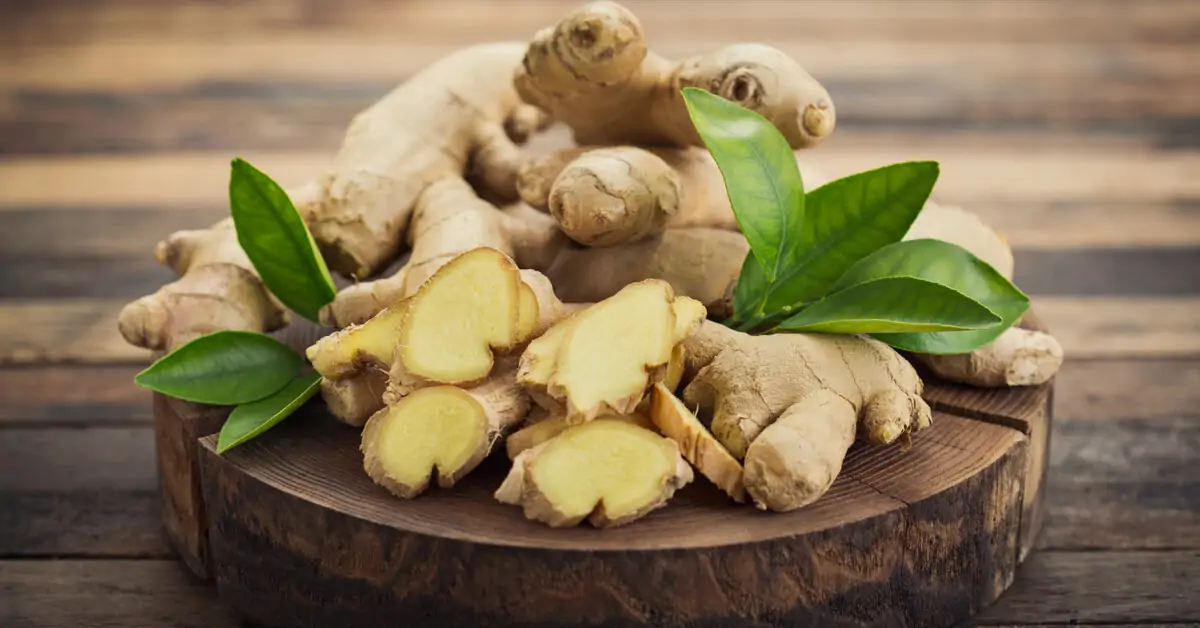 Inkivääri on hyödyllinen, mutta ei kaikille. Kenelle sitä ei pitäisi käyttää ja miksi?