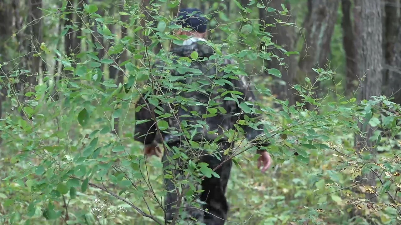 Puhelin löydettiin, kun kadonneen belgialaisen matkailijan Celine Kremerin etsinnät aloitettiin uudelleen.