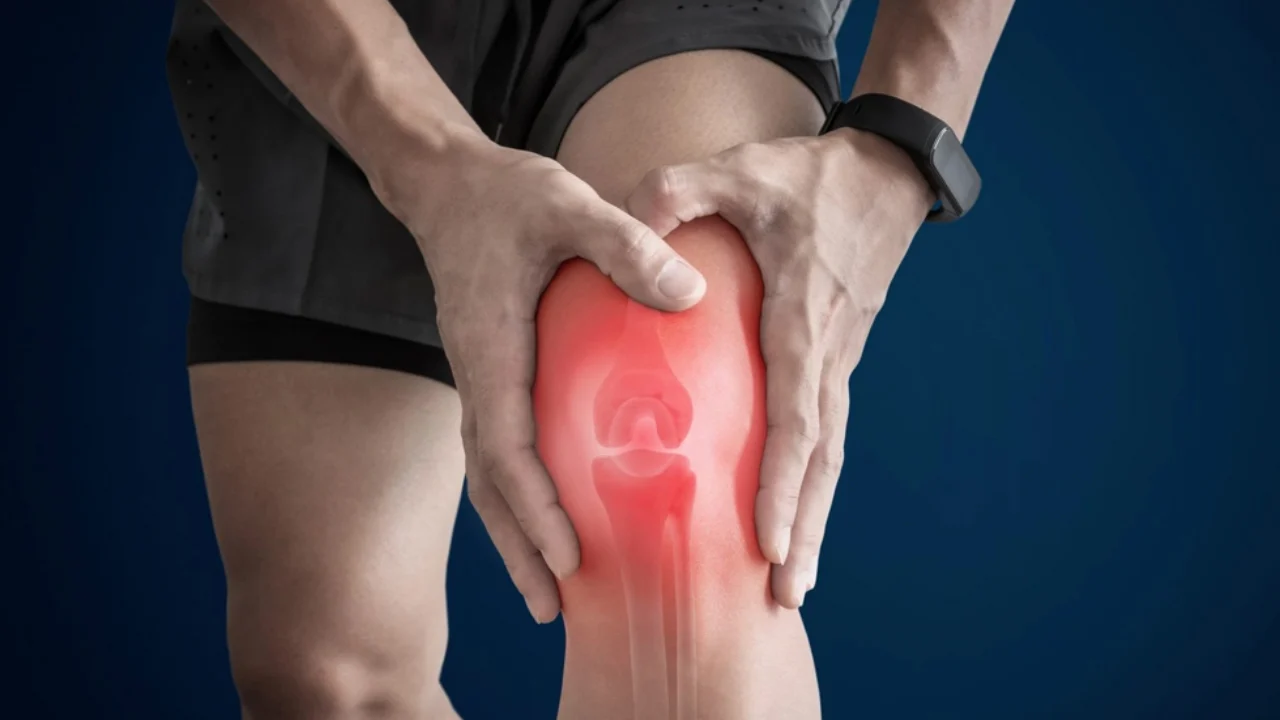 He selvittivät, miksi rustokudos tuhoutuu nivelrikossa ja miten se voidaan palauttaa.