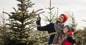 Voinko itse kaataa kuusia ja kerätä sammalta metsästä?