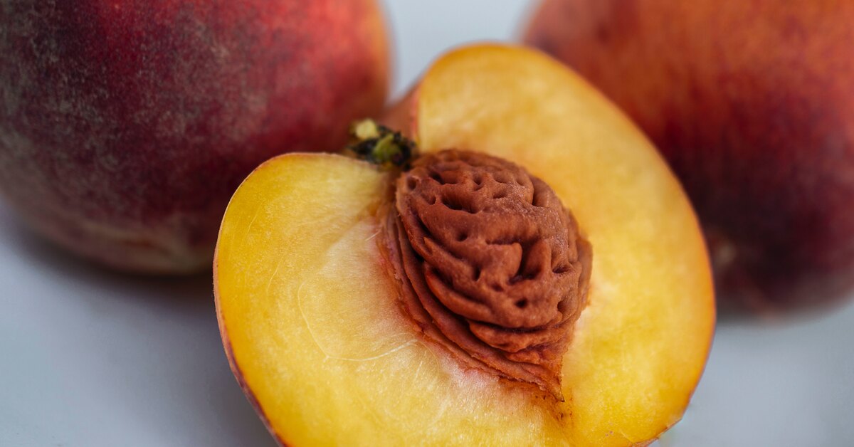 Jos sinulla on persikan kiviä, sinulla on kädessäsi aarre: miksi ne kannattaa säästää