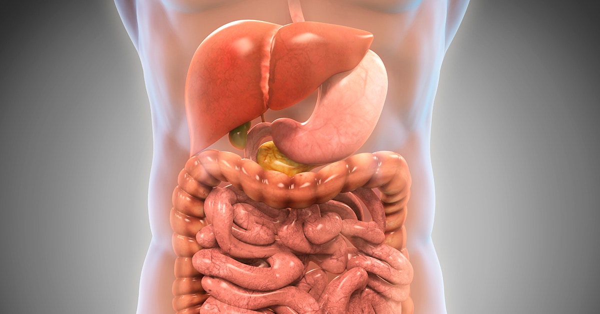 Tutkimus osoitti, että ulostamisen aikataulu voi kertoa paljon yleisestä terveydentilastasi