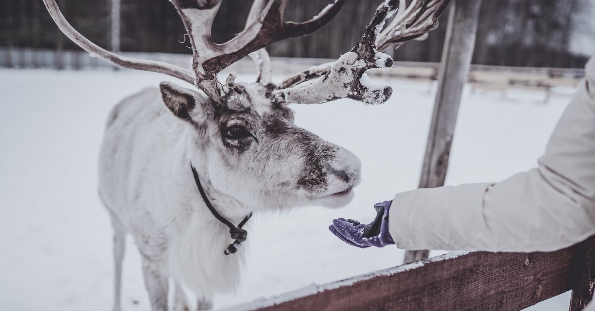 Maanantaina Suomessa käynnistyi aivan erityinen televisiokanava.
