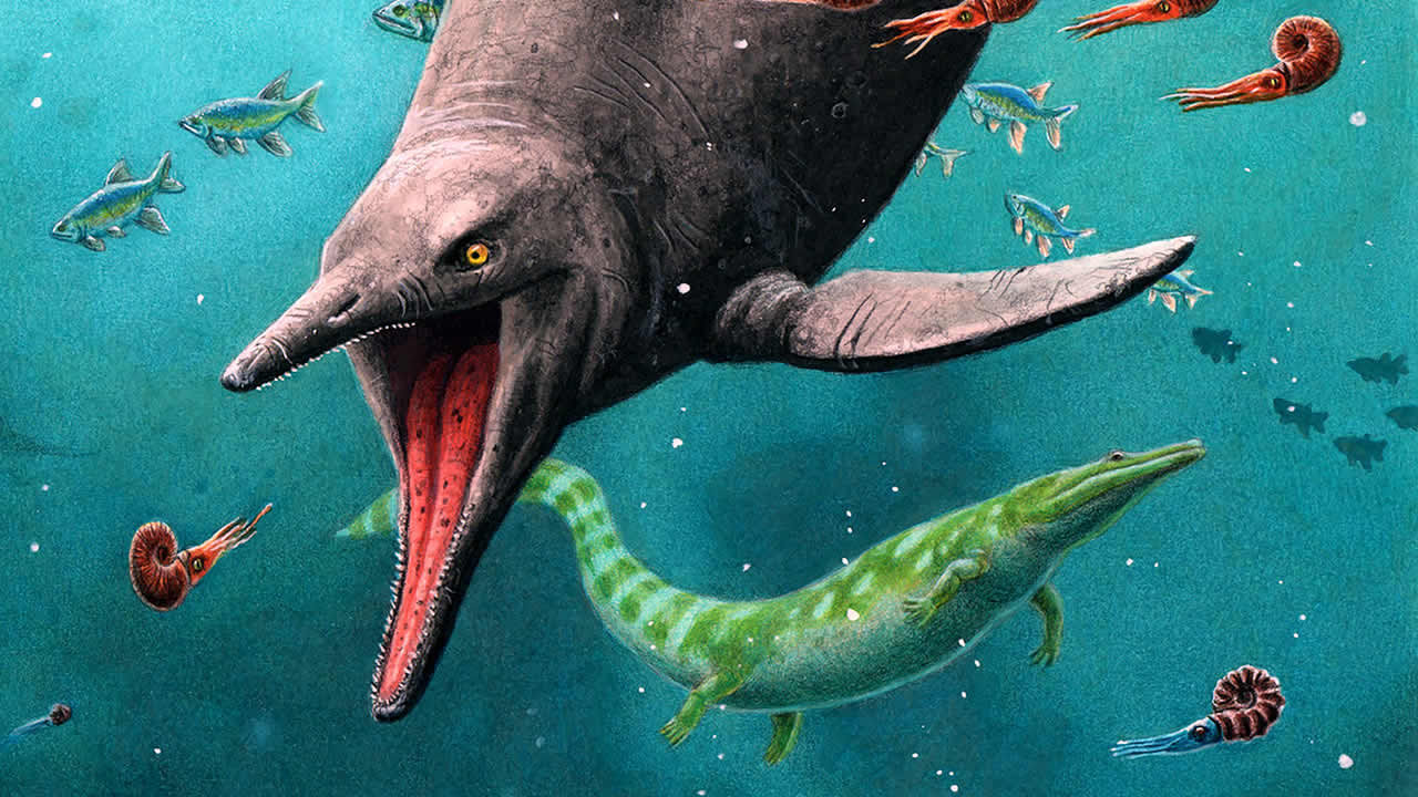 Tämä salaperäinen saalistaja, joka löydettiin Suomen rannikolta, jättää tutkijat sanattomiksi.